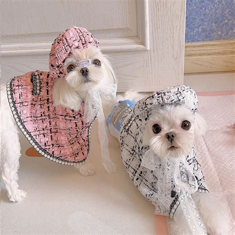 cheap chanel dog clothes|coco chanel dog outfits.